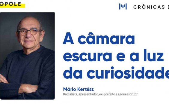 A câmara escura e a luz da curiosidade