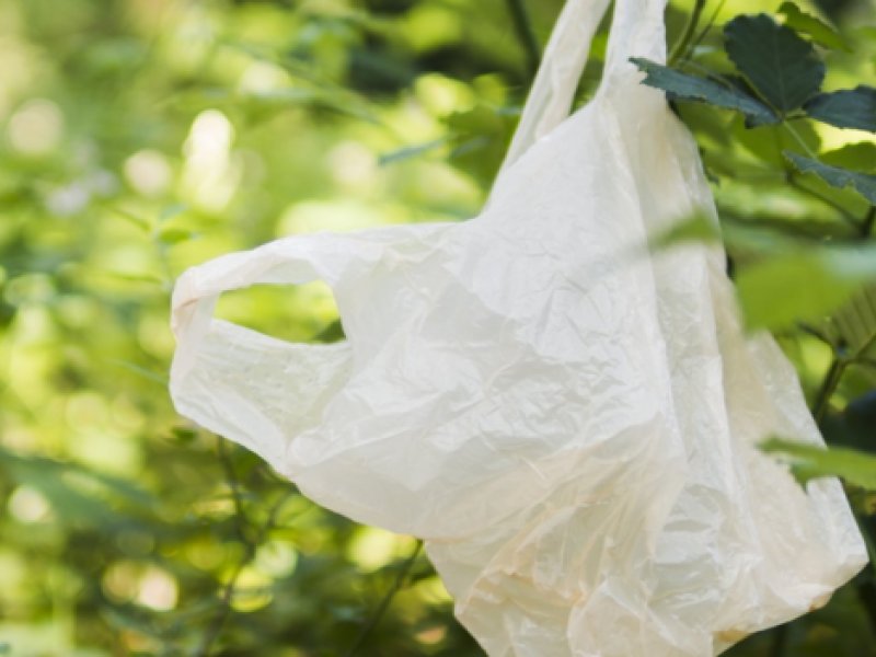Salvador proíbe sacolas plásticas em estabelecimentos comerciais a partir do dia 12 de maio
