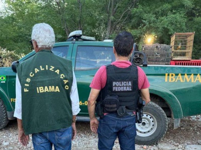 Operação combate tráfico internacional de animais silvestres na Bahia