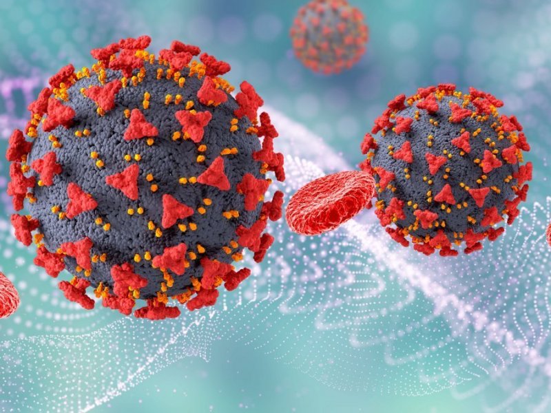 Covid: pelo menos 32 países identificam nova variante
