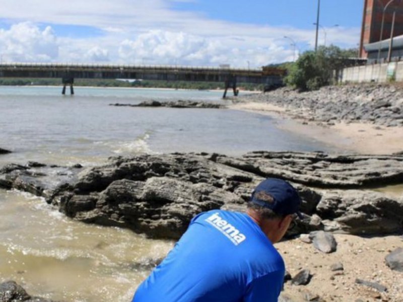 Economia baiana pode enfrentar crise por falta de fertilizantes