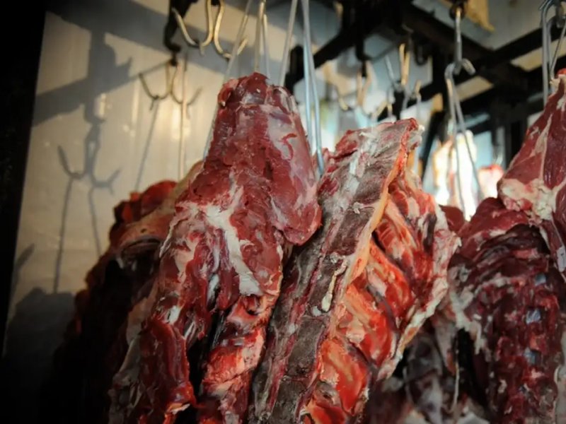 União Europeia oficializa veto à importação de carne brasileira a partir de setembro