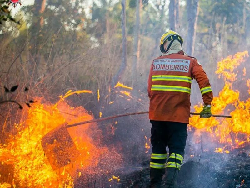 Área queimada no Brasil cai 31% em 2025 e fica abaixo da média histórica