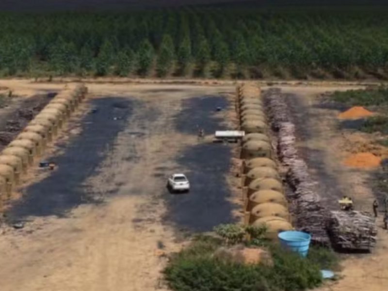 Ação do MP identifica mais de 200 hectares de desmatamento ilegal na Bahia