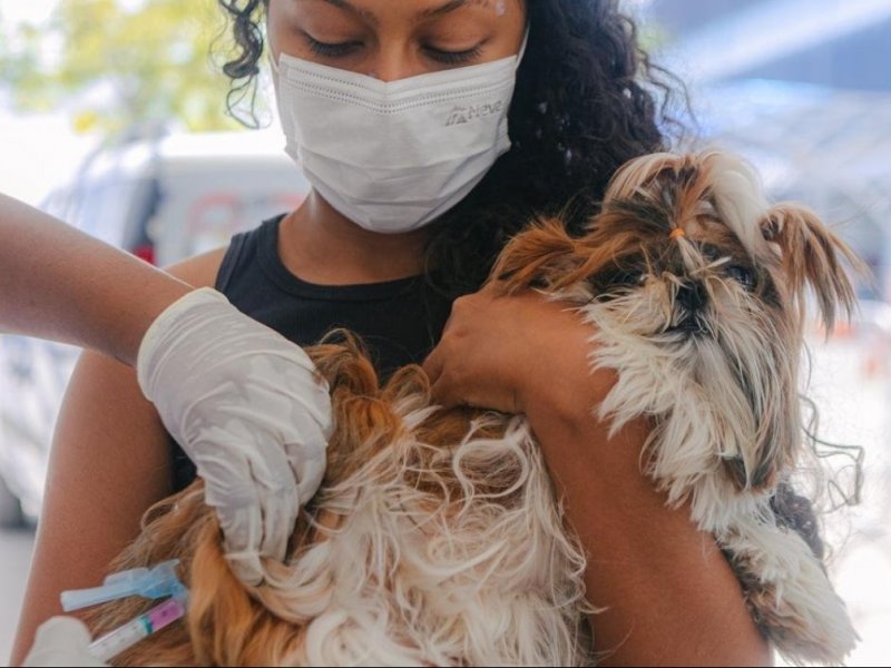 Vacinação antirrábica encerra nesta segunda em Salvador