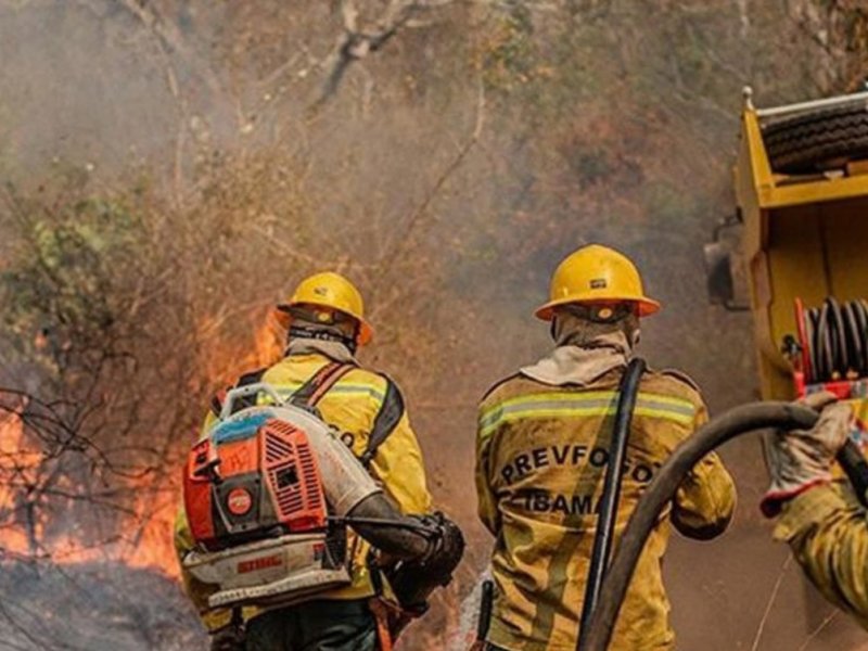 Amazonas registra alta de 271% nos focos de incêndio e recebe reforço federal