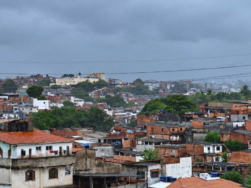Frente fria provoca quedas de árvores e ameaça de desabamento em Salvador