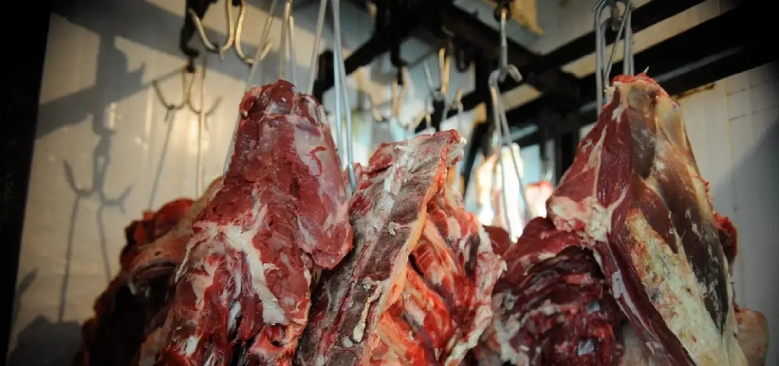 União Europeia oficializa veto à importação de carne brasileira a partir de setembro