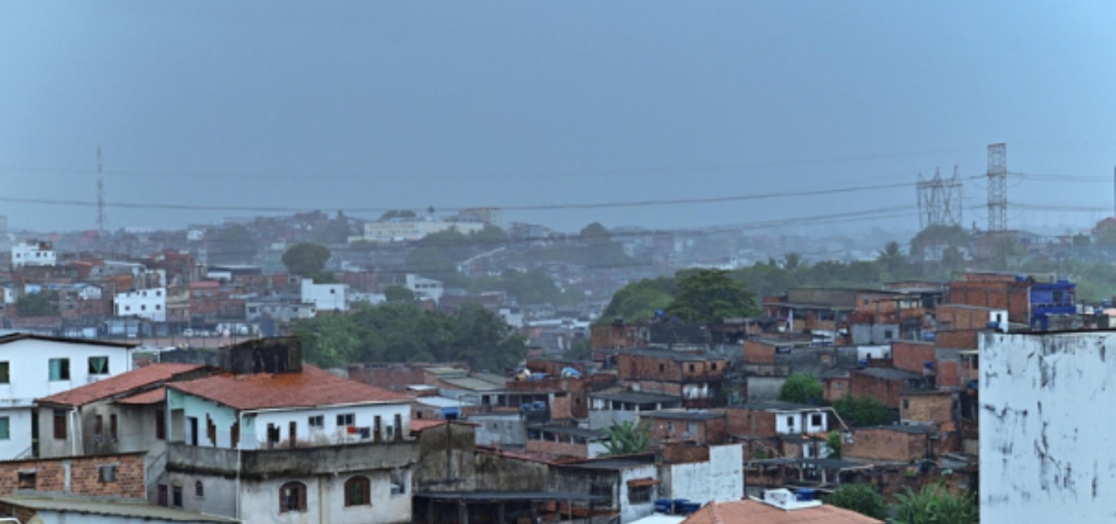 Frente fria provoca quedas de árvores e ameaça de desabamento em Salvador