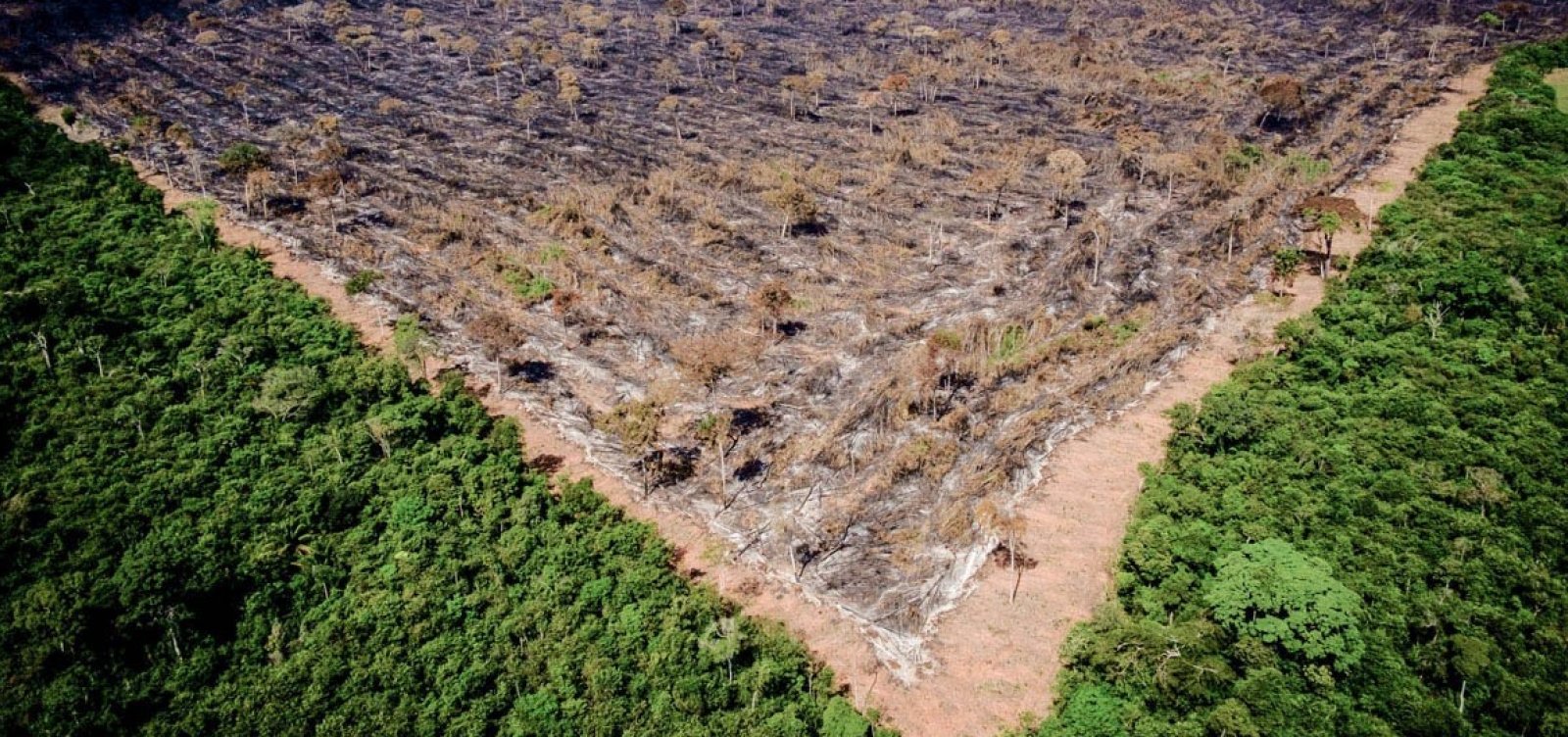 Desmatamento na Amazônia aumenta 9,5% e atinge recorde de 12 anos