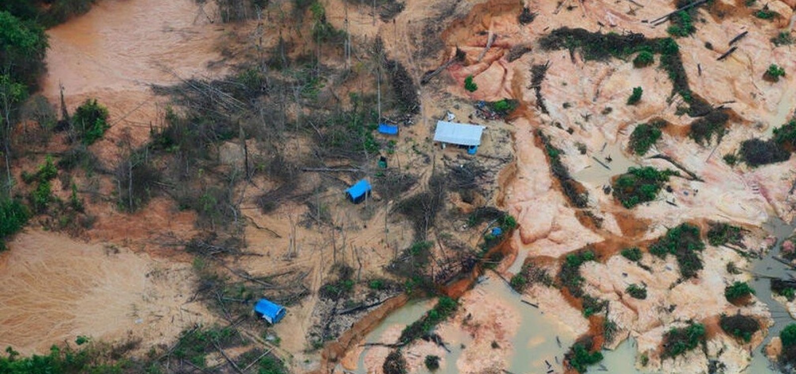 Desmate por mineração na Amazônia bate recordes e avança sobre áreas de conservação