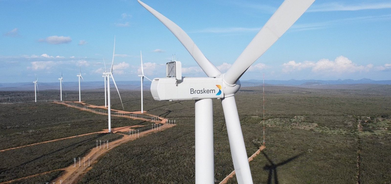 Neutralização de carbono: um dos caminhos para ajudar nosso planeta nas próximas décadas