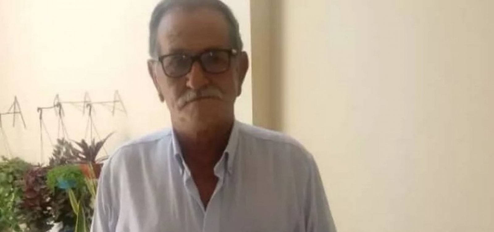 Irecê: idoso morre após ser atacado por abelhas na entrada de supermercado