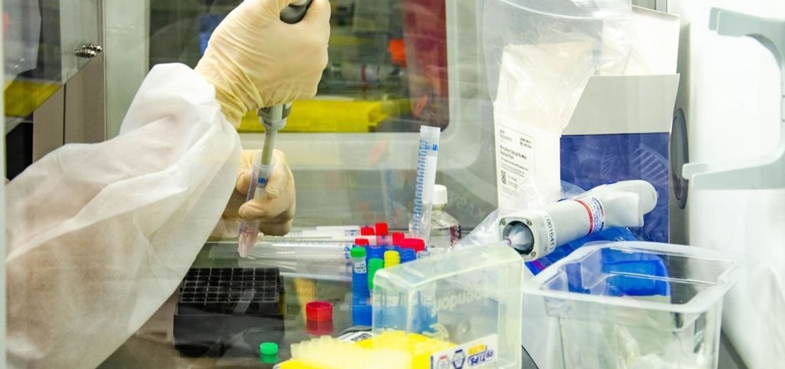 Primeiro caso de reinfecção do coronavírus com mutação achada na África do Sul é registrado em Salvador