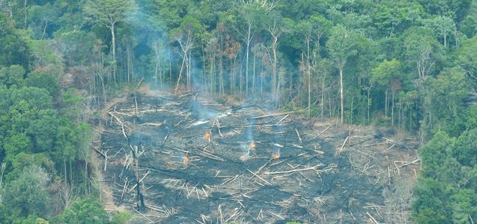 Desmatamento na Amazônia cresceu 14% em dezembro, aponta Inpe