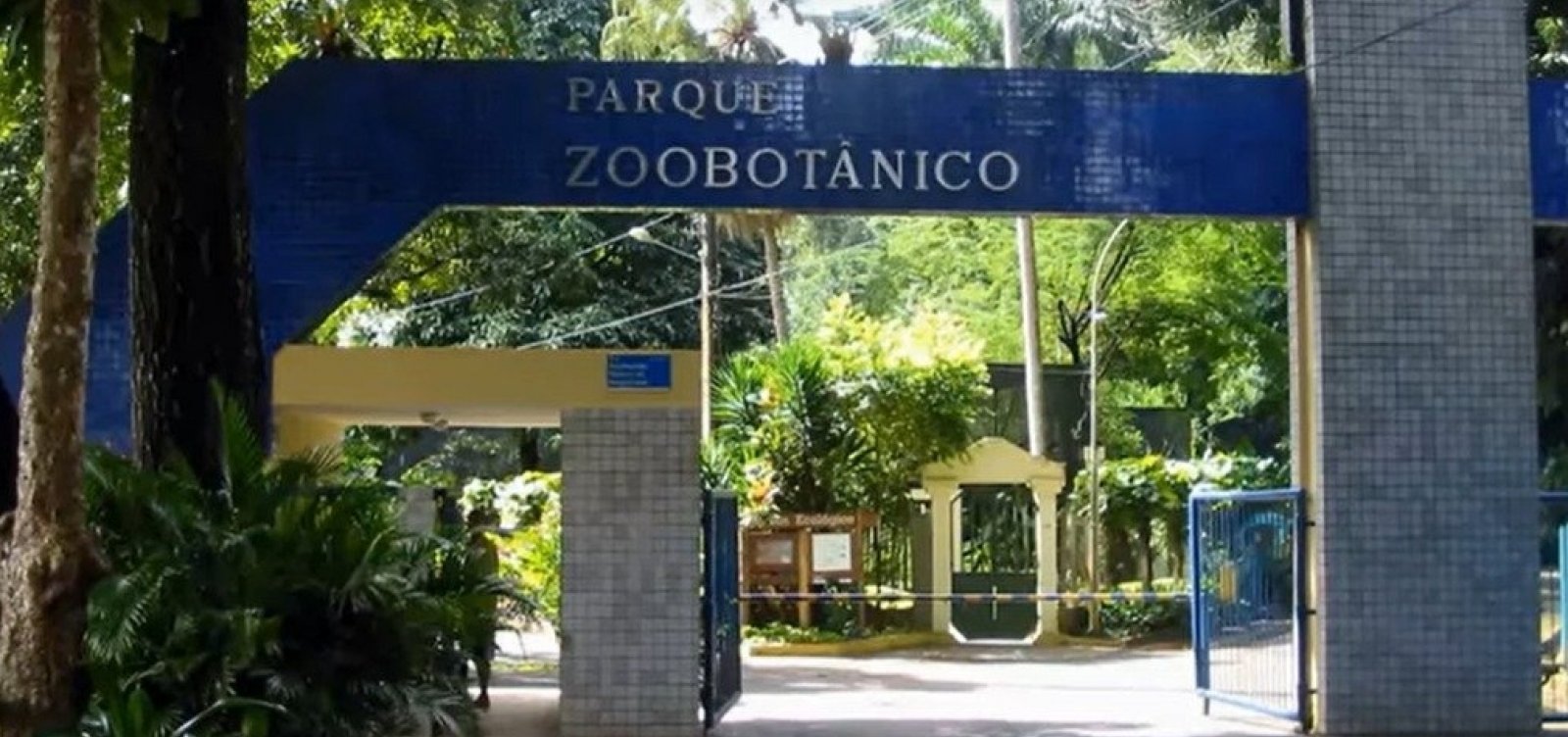 Ambulantes protestam por reabertura de Zoológico em Salvador 