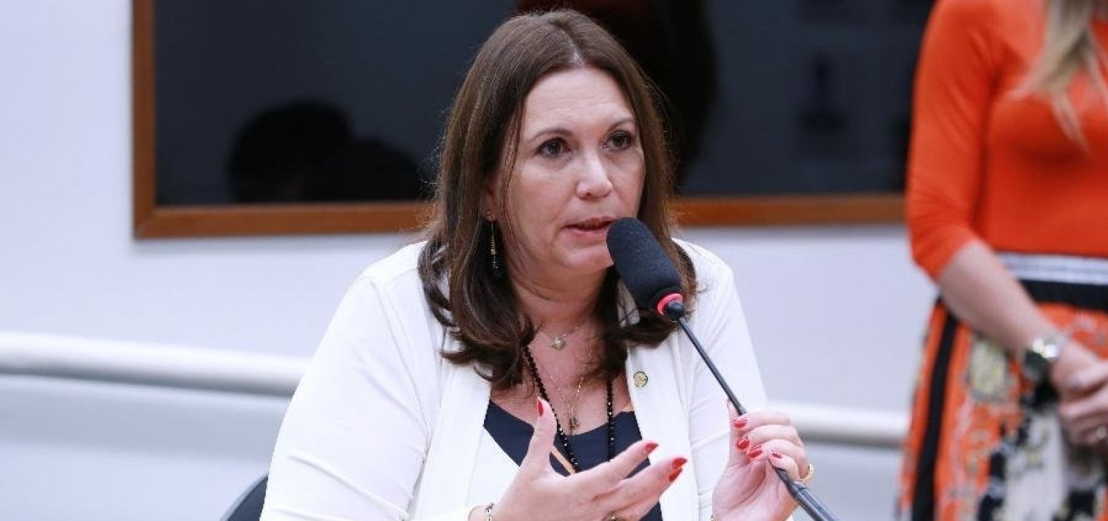 Após reação de ministros do STF, líderes tentam evitar que Bia Kicis comande a CCJ