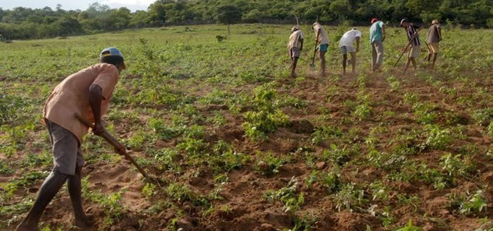 Governo disponibiliza mais de R$ 74 mi para pagamentos do Garantia-Safra