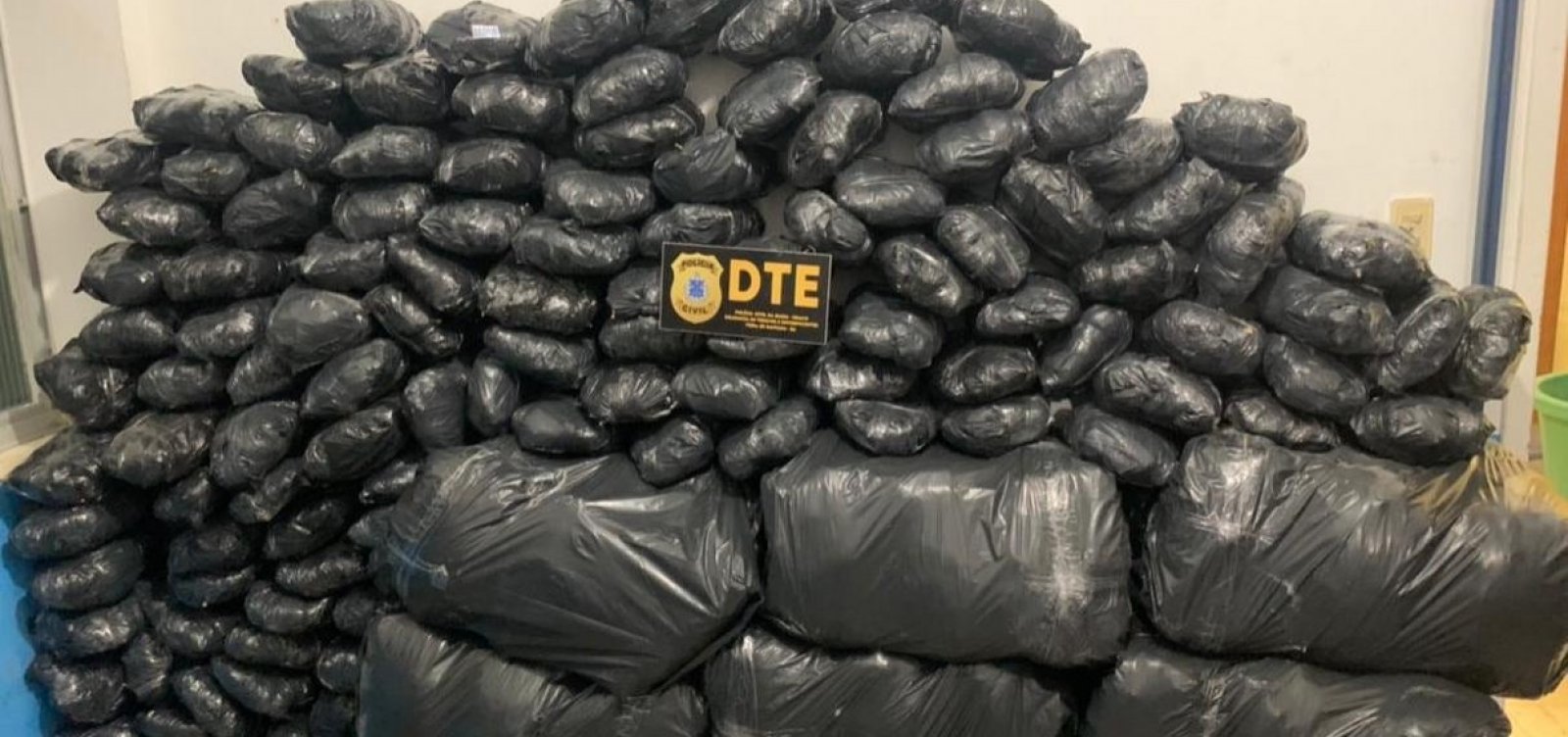 Operação da Polícia Civil em Feira de Santana apreende 300kg de maconha