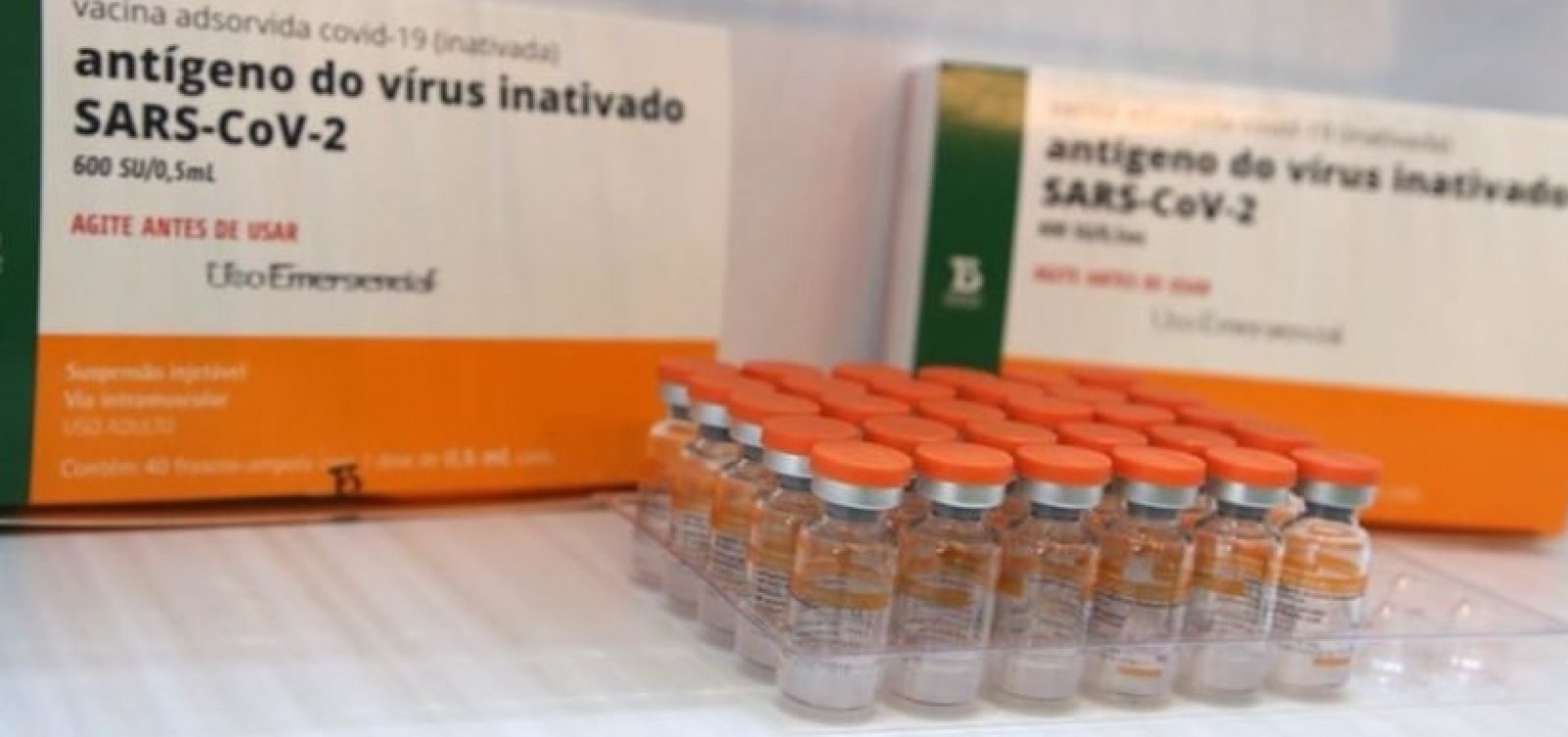 Butantan inicia distribuição de mais 3,9 milhões de doses da vacina contra Covid 