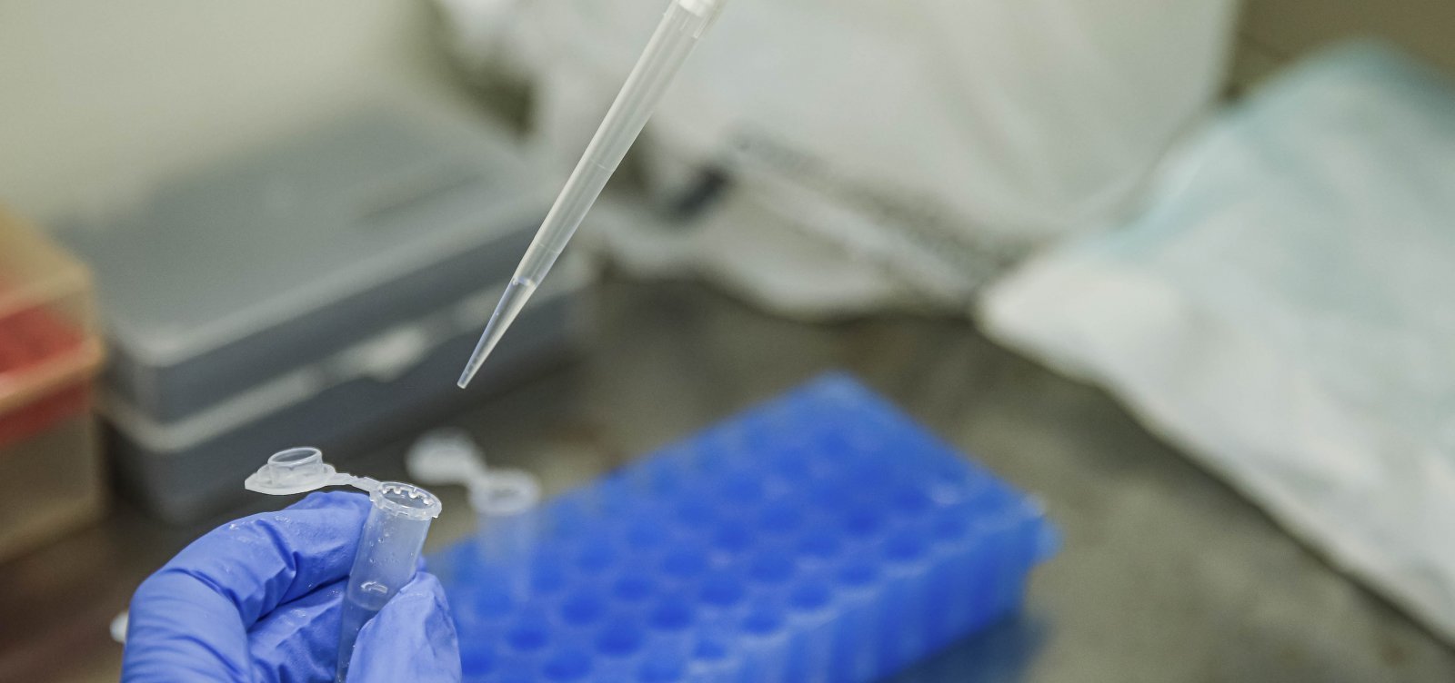 Covid-19: Salvador registra 1.526 casos e 24 mortes pela doença em 24h