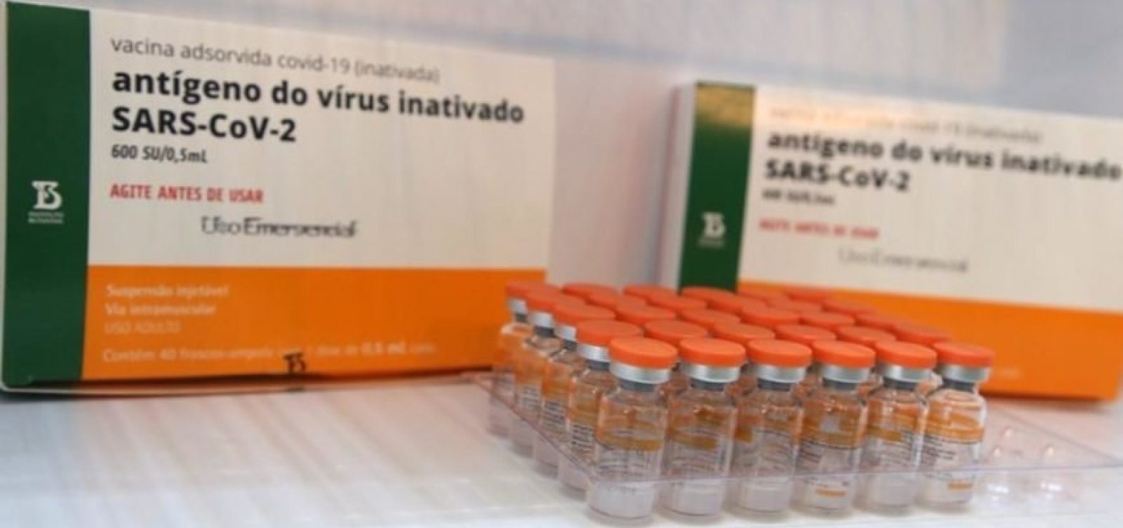 CoronaVac é eficaz contra as três variantes que circulam no país, diz Butantan