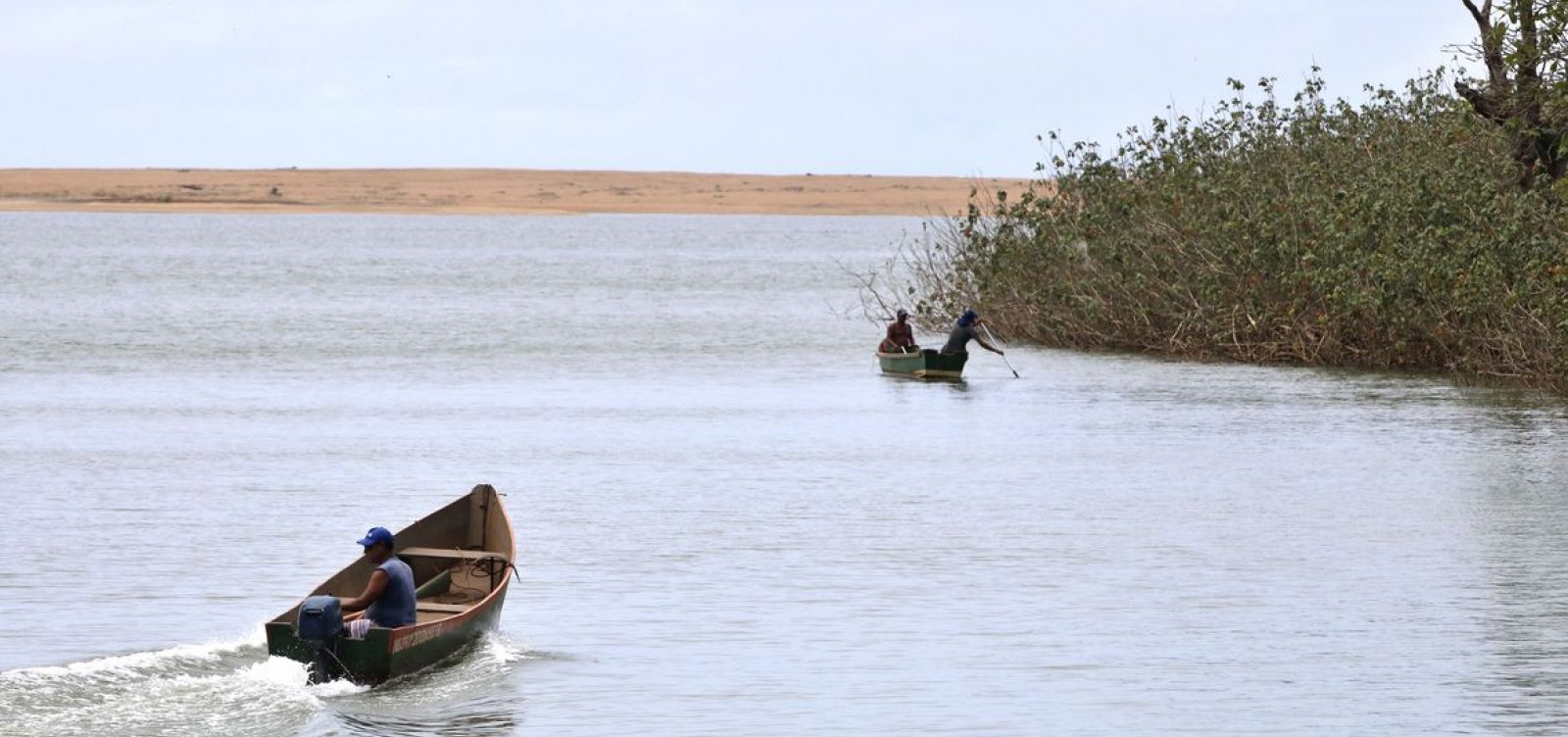 Mariana: pesquisadores encontram metais tóxicos em peixes do Rio Doce