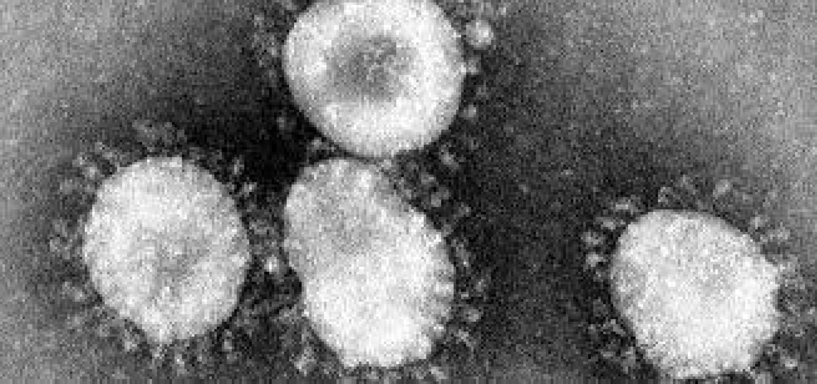 Variante delta do coronavírus, identificada na Índia, é 40% mais transmissível, aponta Reino Unido 