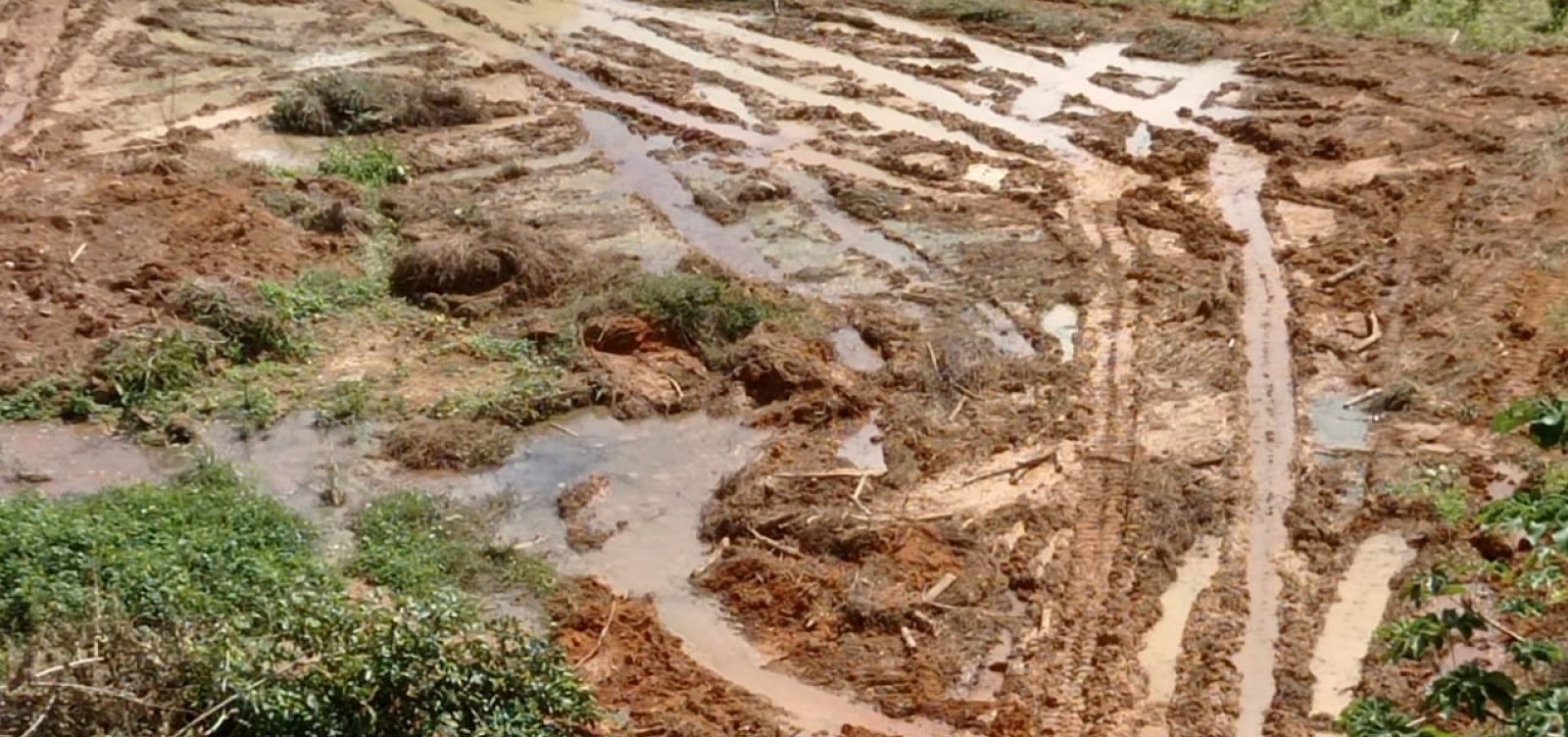 Moradores temem deslizamentos de terra com obra em Mata Atlântica de Mussurunga