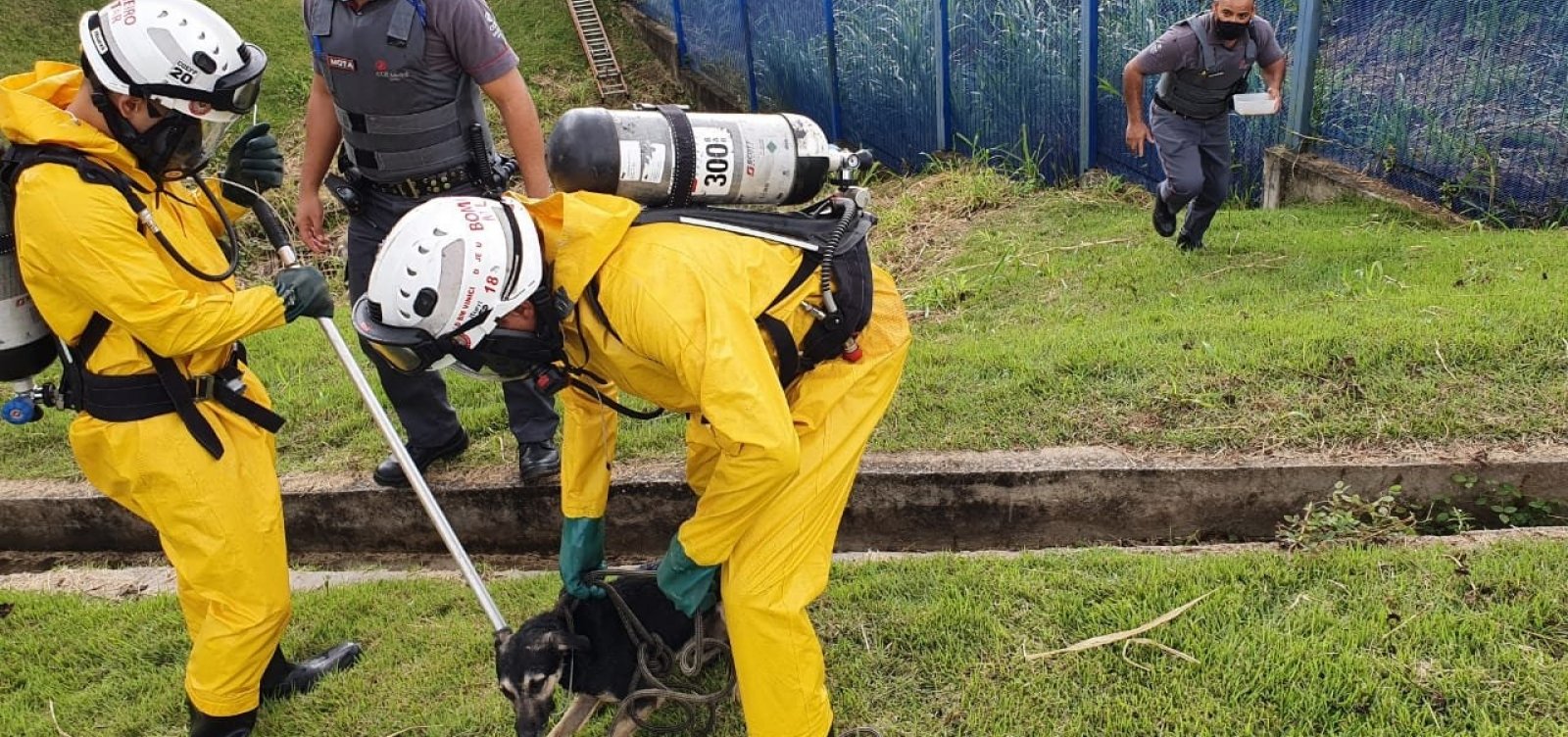 Bombeiros resgatam cachorro em córrego próximo à estação de metrô