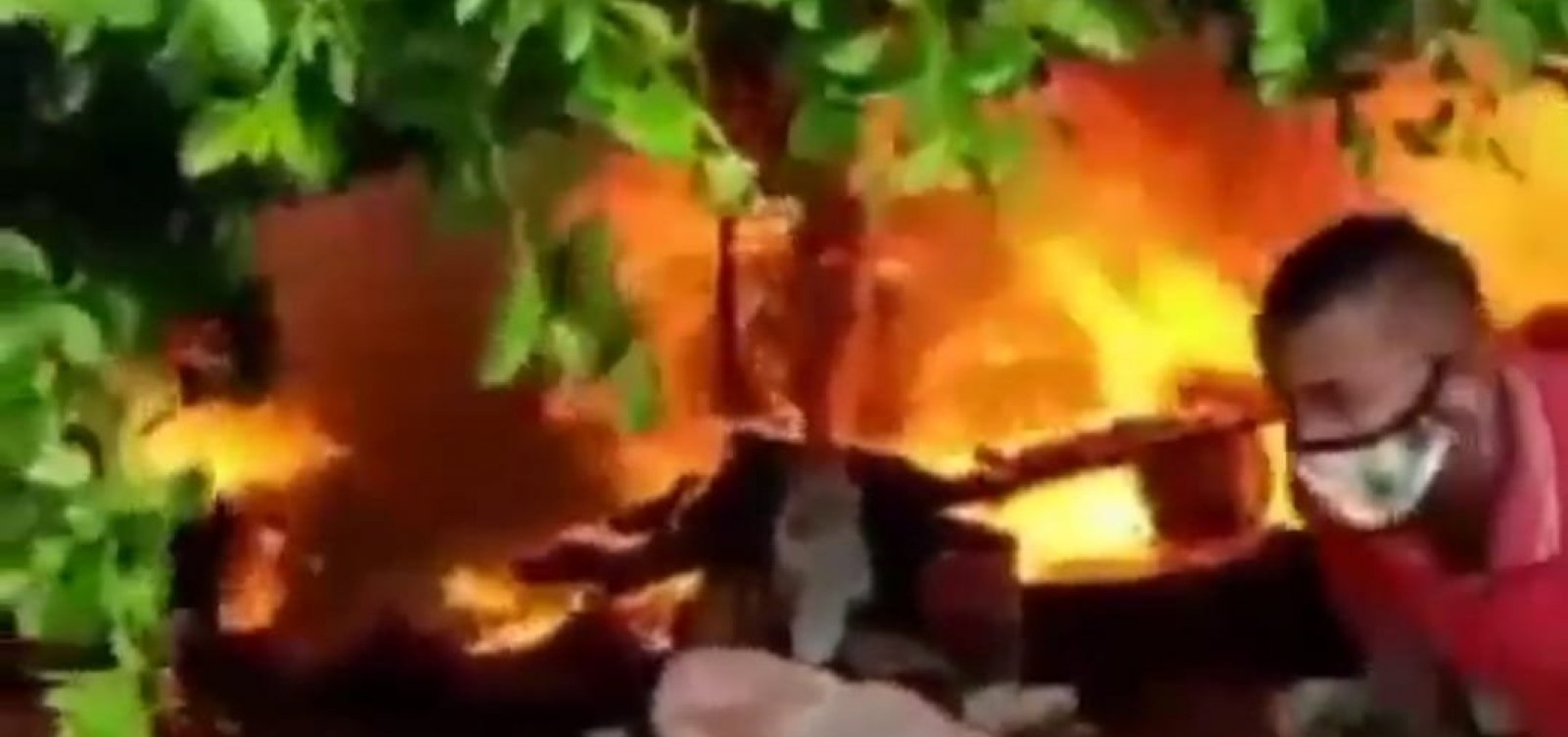 Incêndio atinge "colônia de gatos" no bairro de Piatã, em Salvador