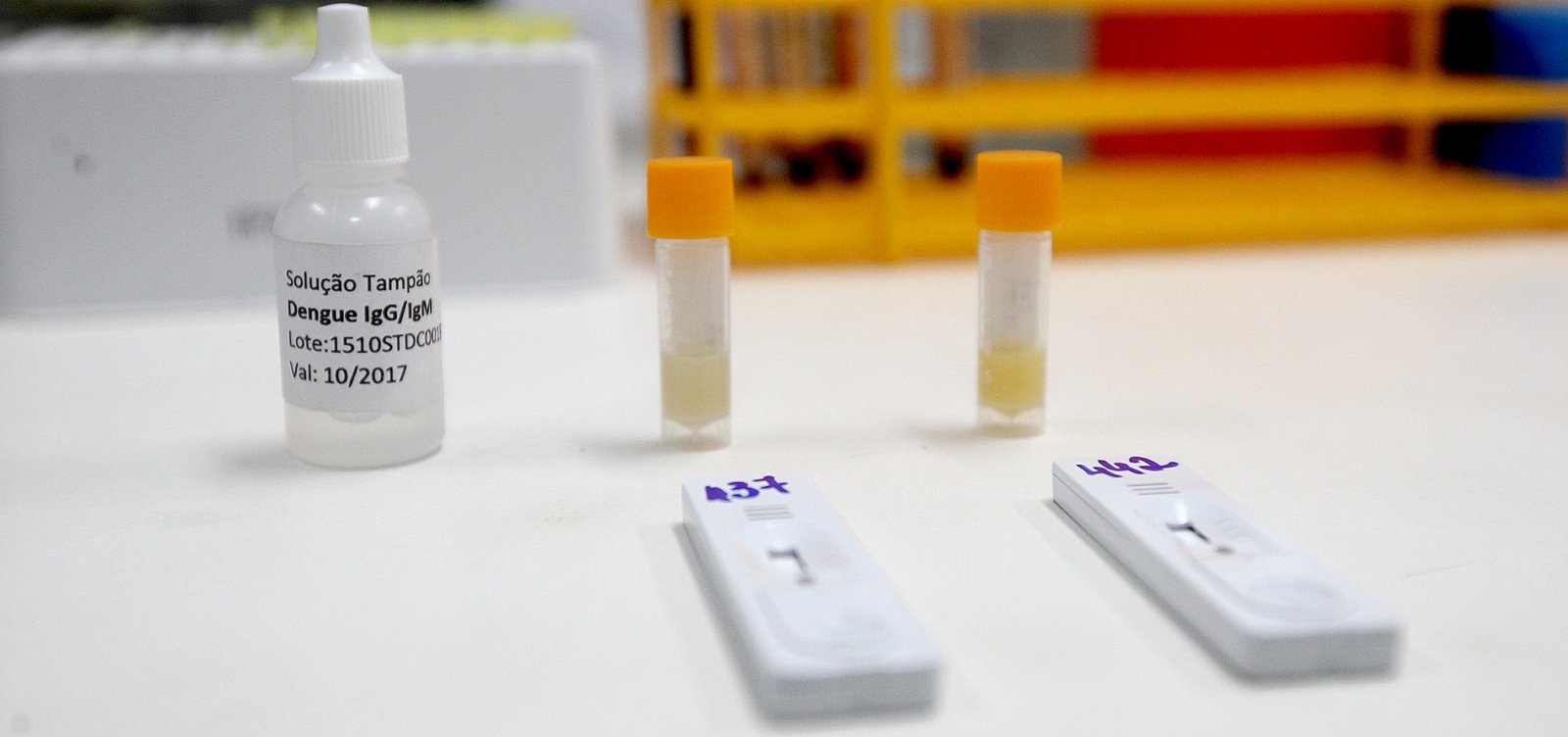 Bahia registra 3.810 casos e 72 mortes por Covid-19 em 24h