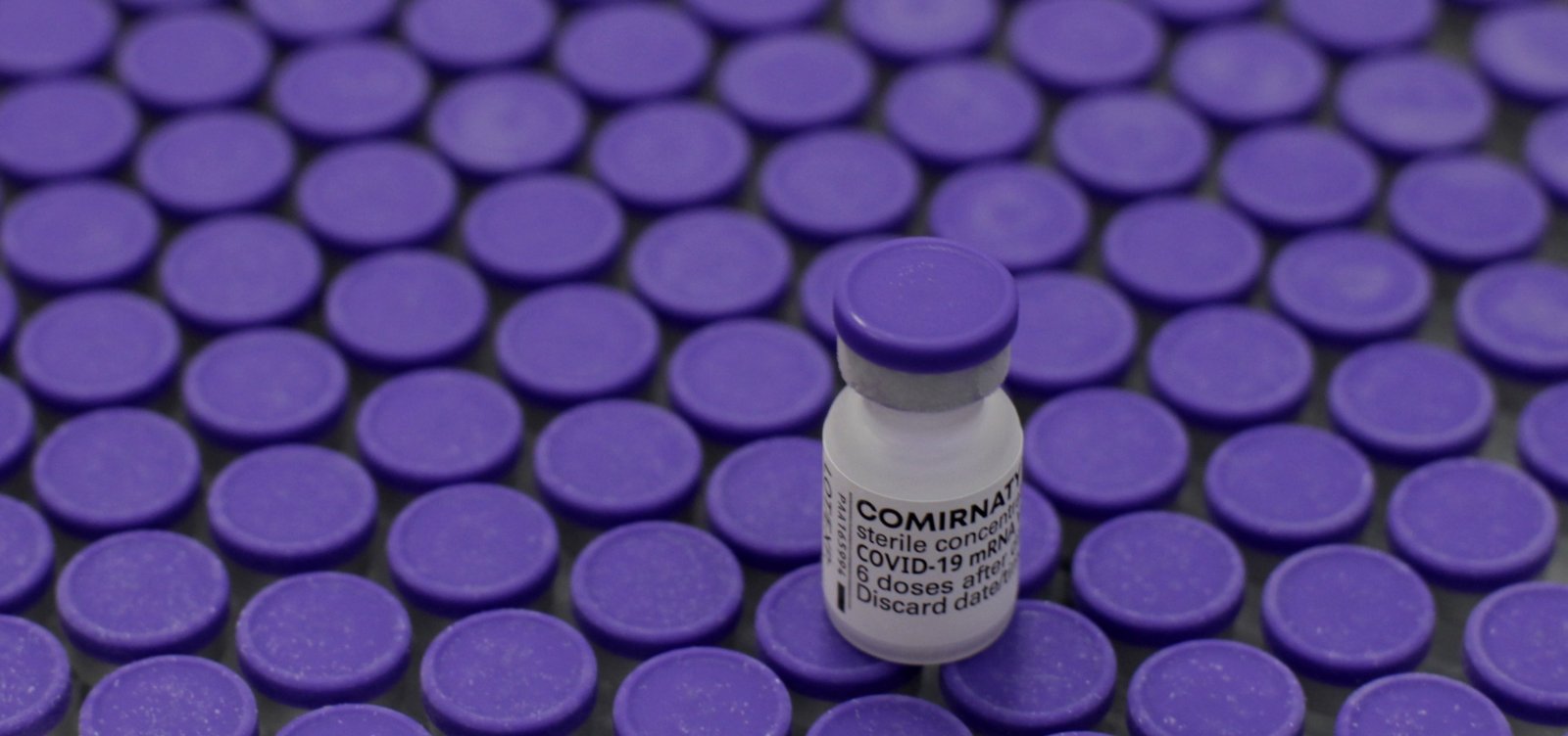 Bahia recebe mais de 253 mil doses de vacina contra Covid nesta sexta