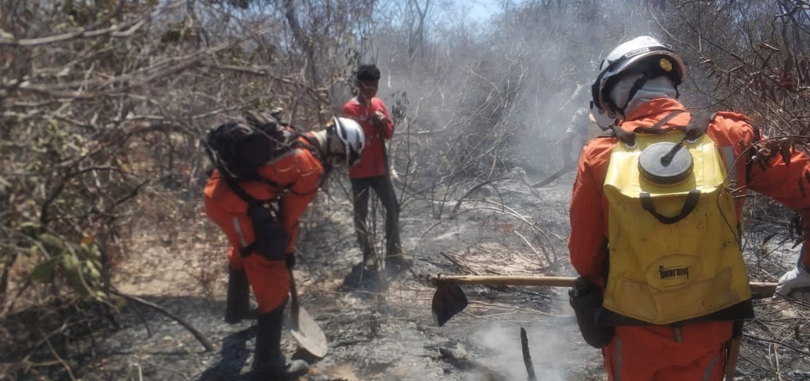 Incêndio no Pilão Arcado já dura mais de seis dias; bombeiros seguem no combate