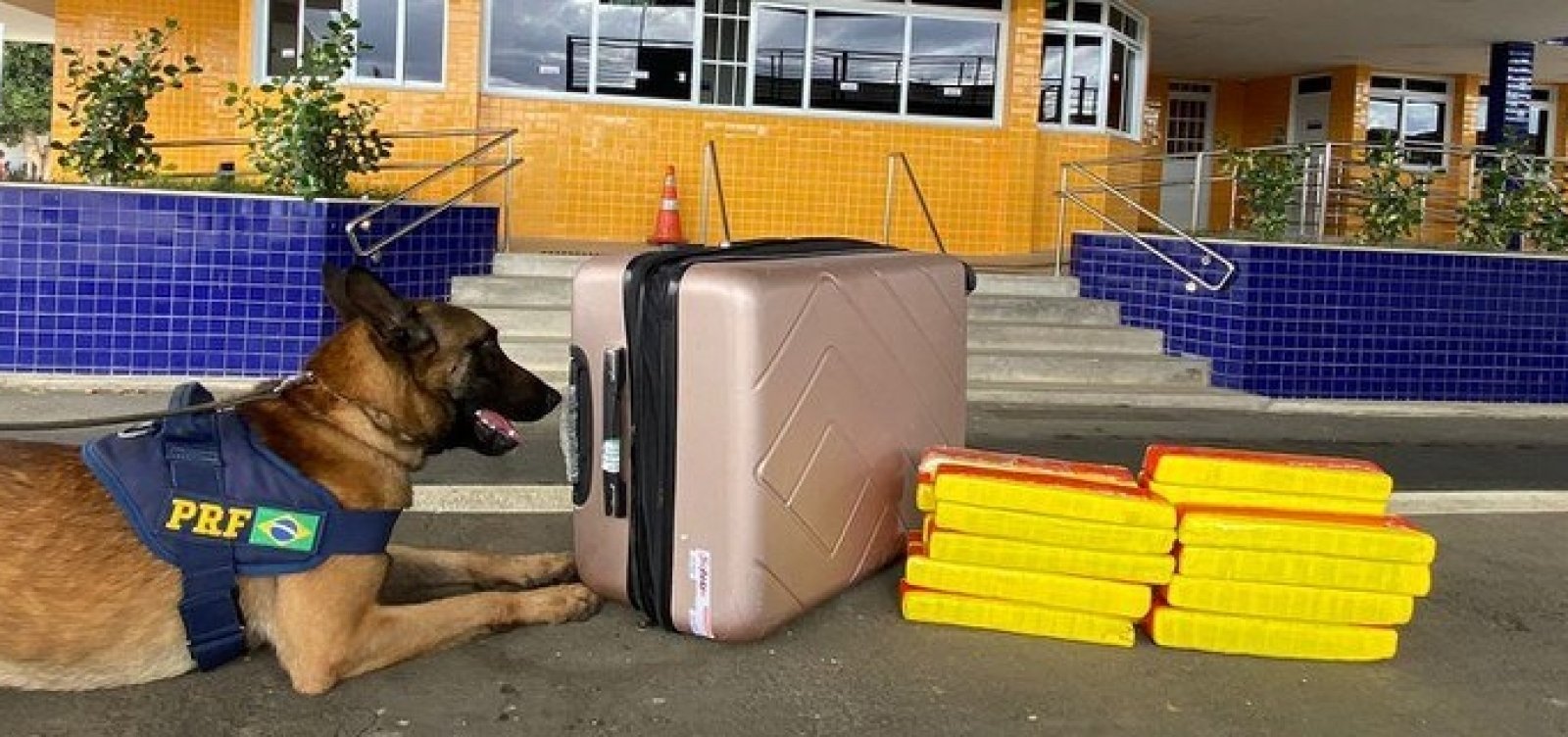 Quase 25 quilos de maconha s&atilde;o apreendidos em &ocirc;nibus no interior baiano