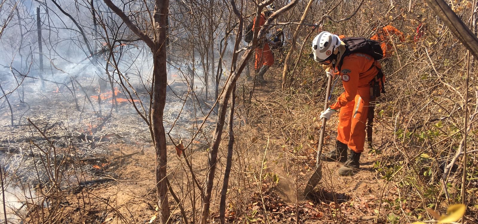 Bombeiros seguem no combate de incêndio em Campo Alegre de Lourdes, na Bahia 