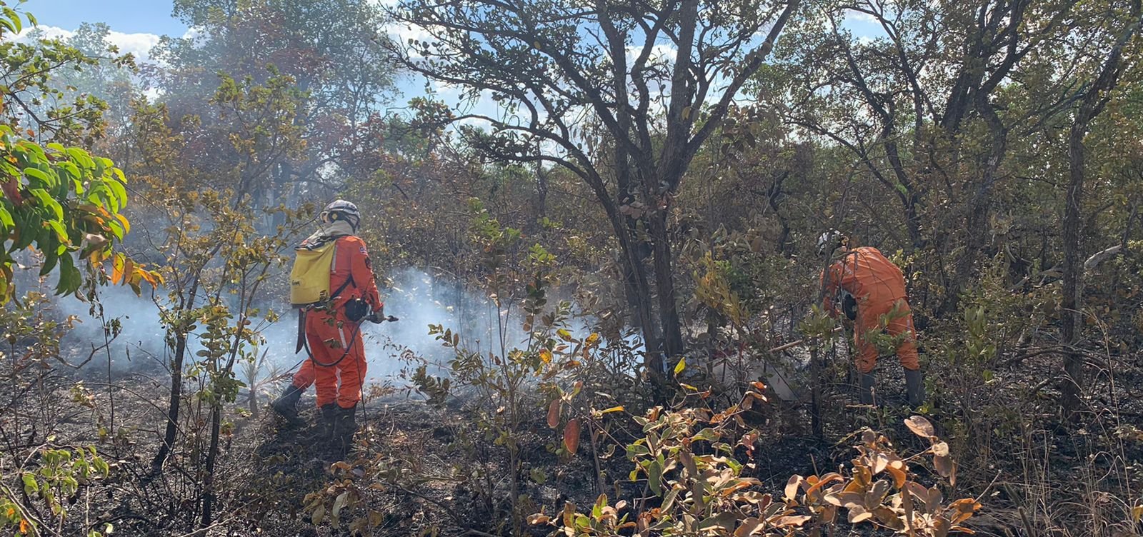 Após 21 dias de incêndio, bombeiros continuam monitorando região de Campo Alegre de Lourdes