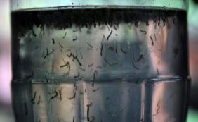 Governo libera mais R$ 500 mi para combate ao Aedes e a microcefalia