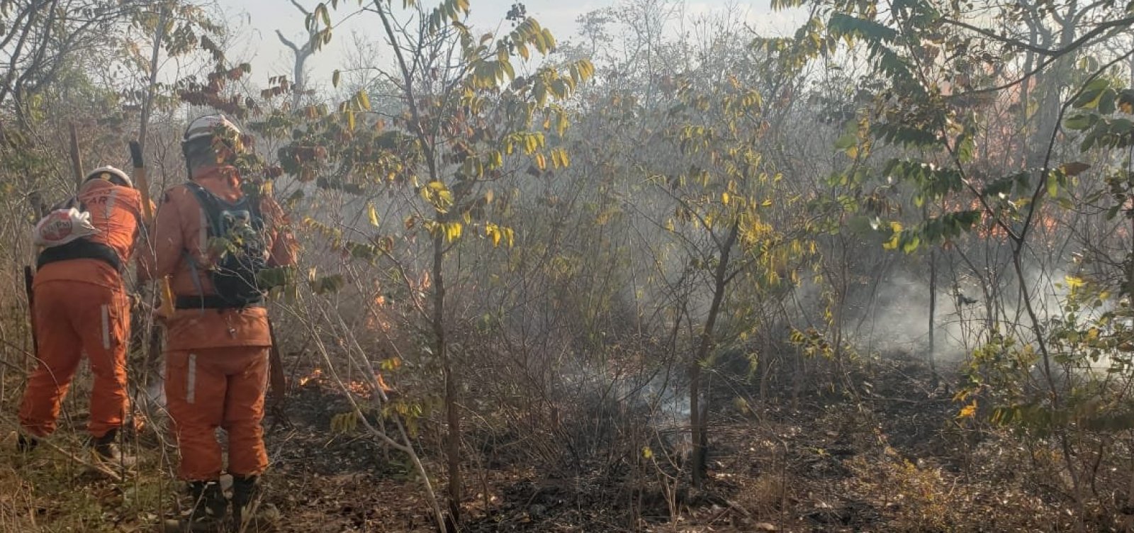Operação Florestal: Bombeiros controlam focos em três cidades e continuam o combate em outras três