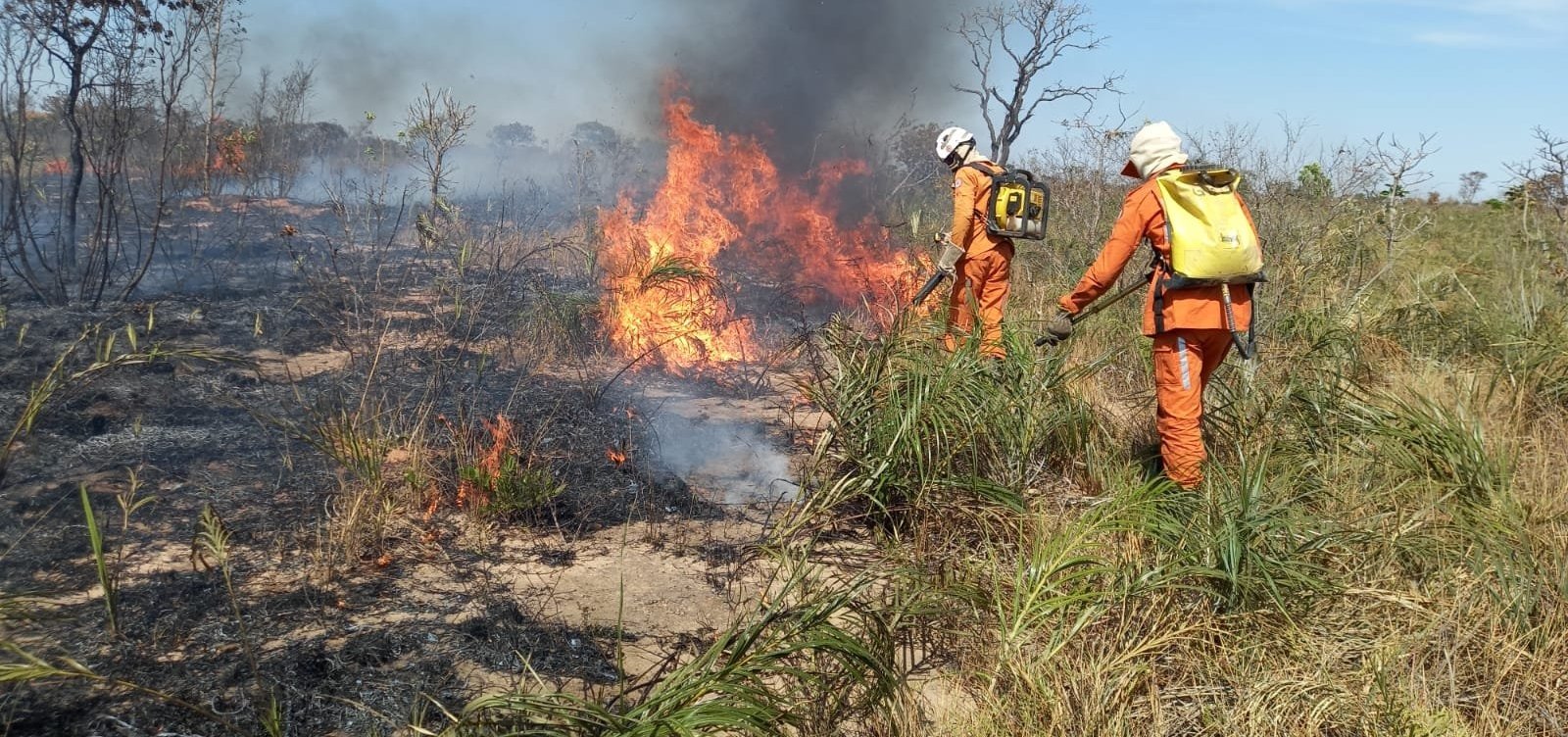 Bombeiros seguem no combate a incêndio florestal em Formosa do Rio Preto