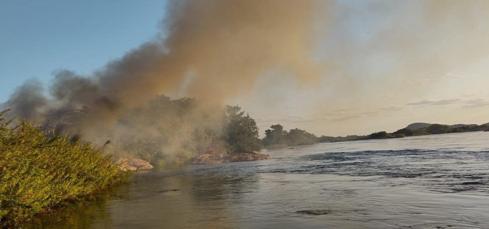 PM destrói 39 mil pés de maconha em cidade baiana