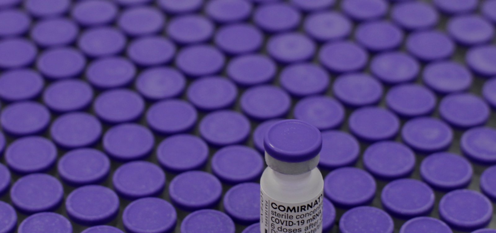 Além do lote da Oxford, Bahia prevê chegada de mais 166 mil doses da Pfizer nesta quinta-feira