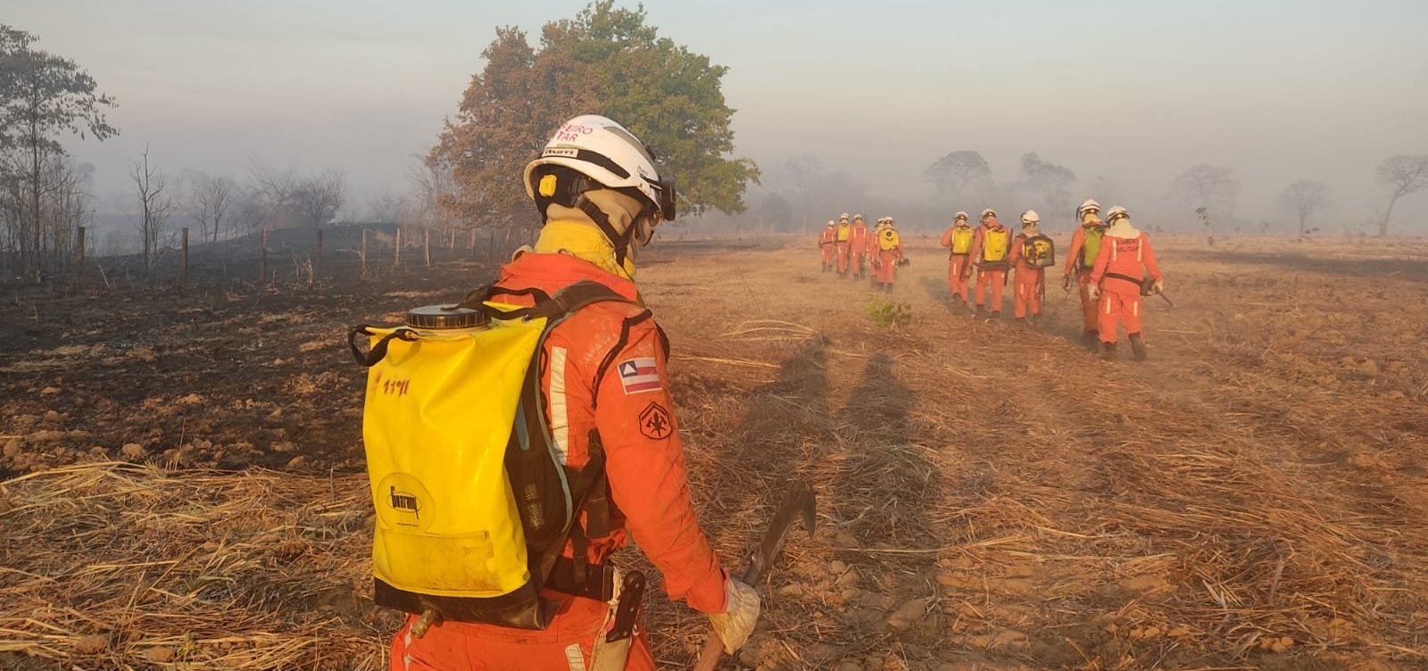 Bombeiros combatem incêndios florestais em pelo menos 8 municípios da Bahia 