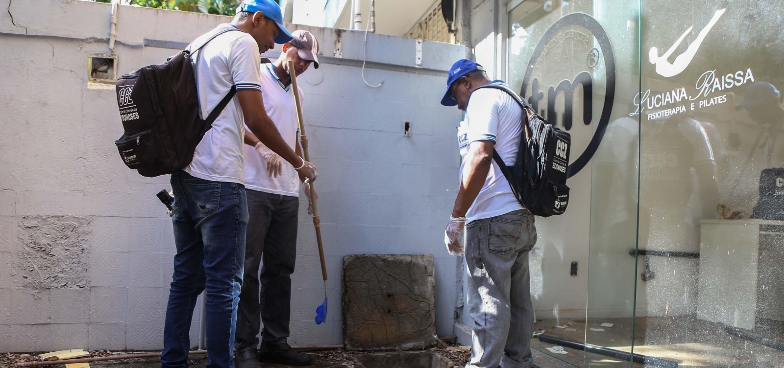 Iniciando em Pernambués, Salvador terá quatro meses de combate contra mosquito da dengue