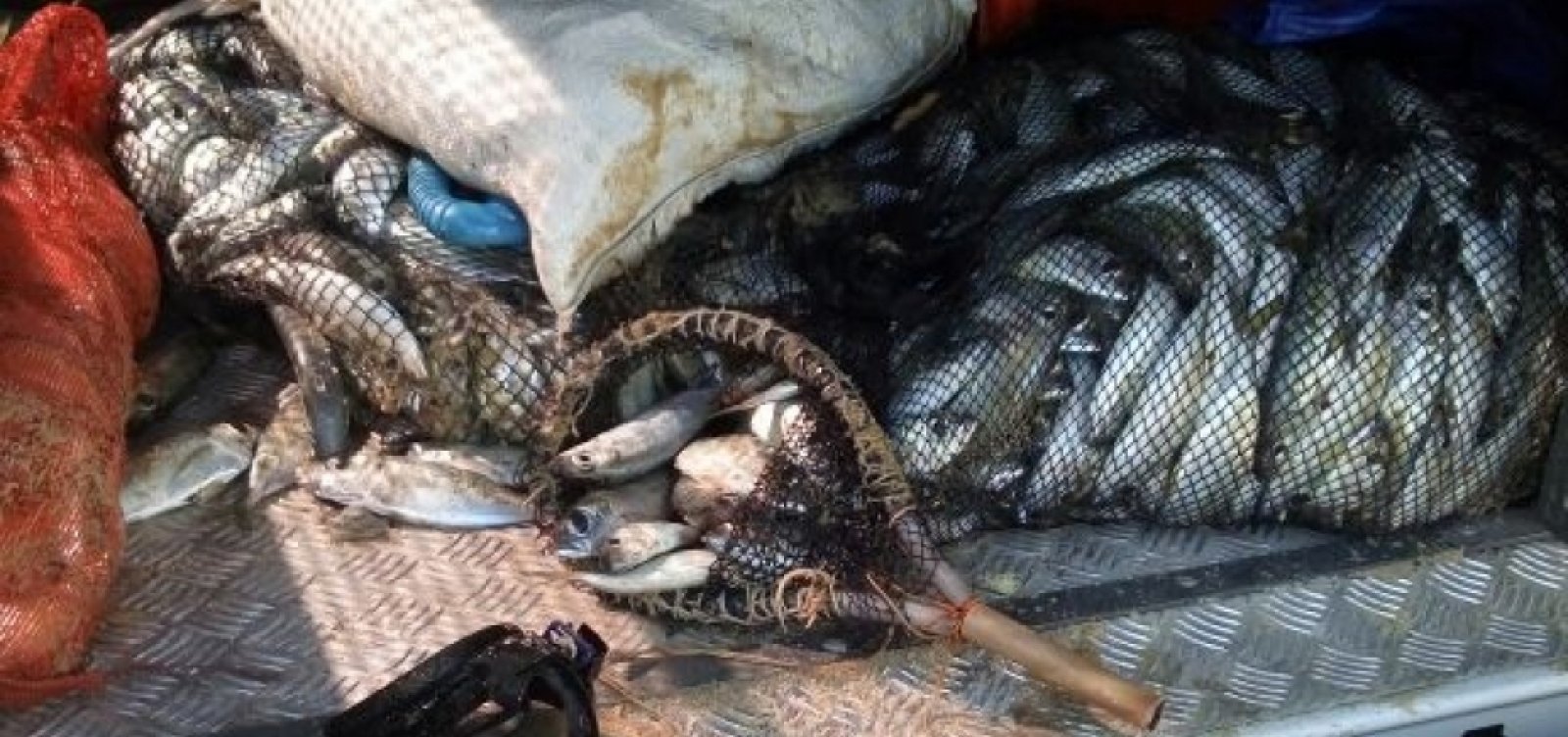 Bahia não vai proibir consumo de pescados enquanto não houver certeza da transmissão da doença de Haff