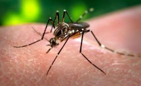 Três casos de Zika vírus são confirmados em Nova York  