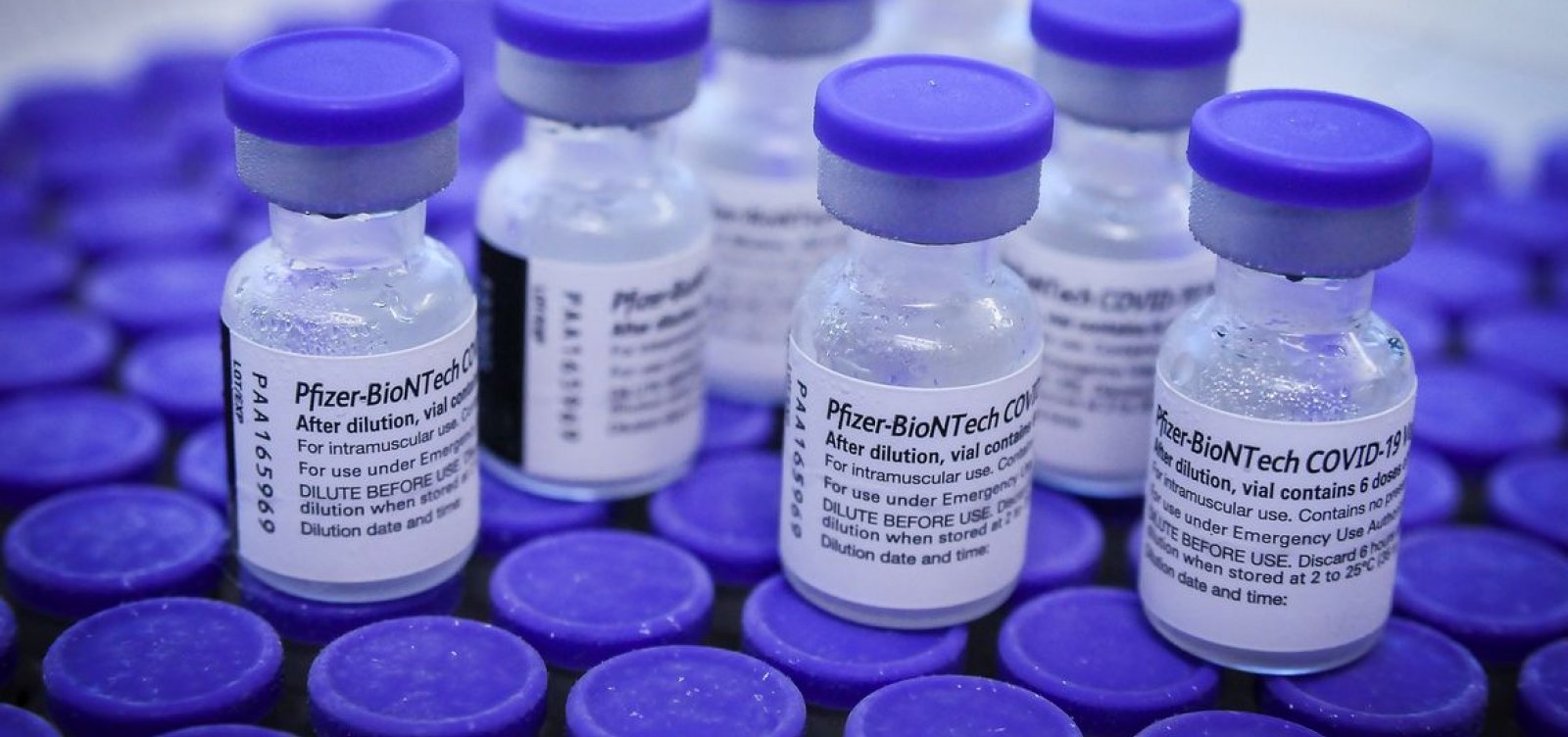 Pfizer vai testar eficácia de vacina contra nova variante de Covid-19