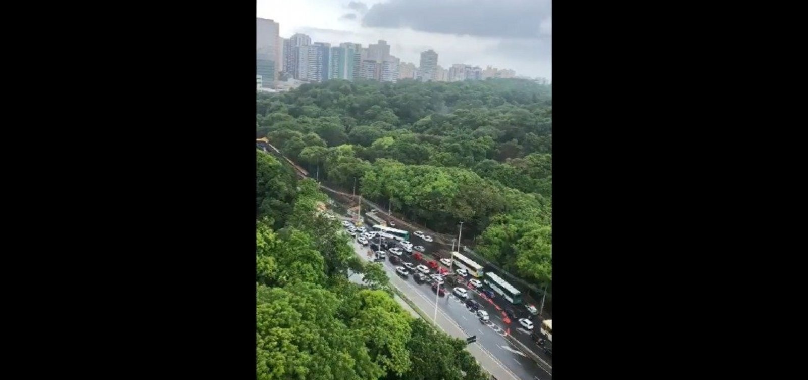Após fortes chuvas, queda de árvore causa congestionamento na Avenida ACM