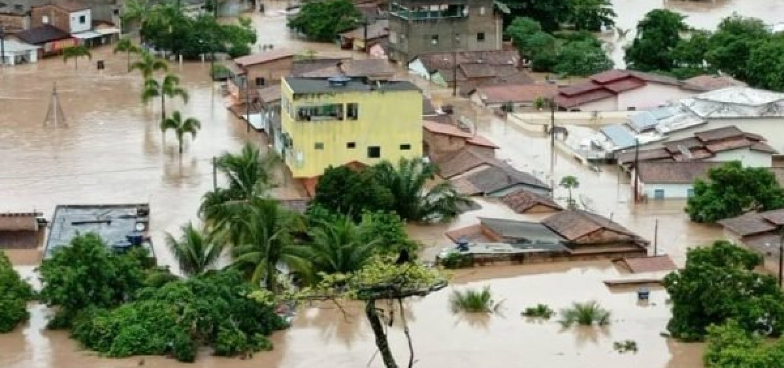 Vacinas e medicamentos foram perdidos em cidades afetadas pelas chuvas na Bahia, diz Rui 