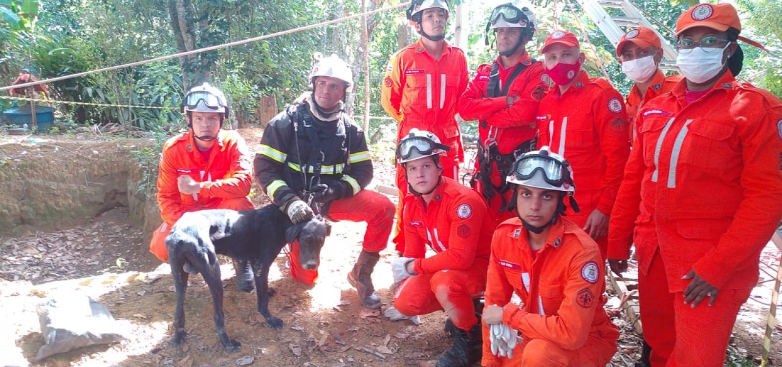 Cachorro cai em poço de 27 metros e é resgatado por bombeiros no sul da Bahia